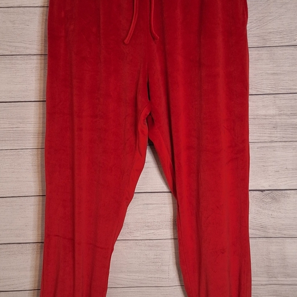 NWT‎ New York and Company Velour Joggers - Picture 3 of 6